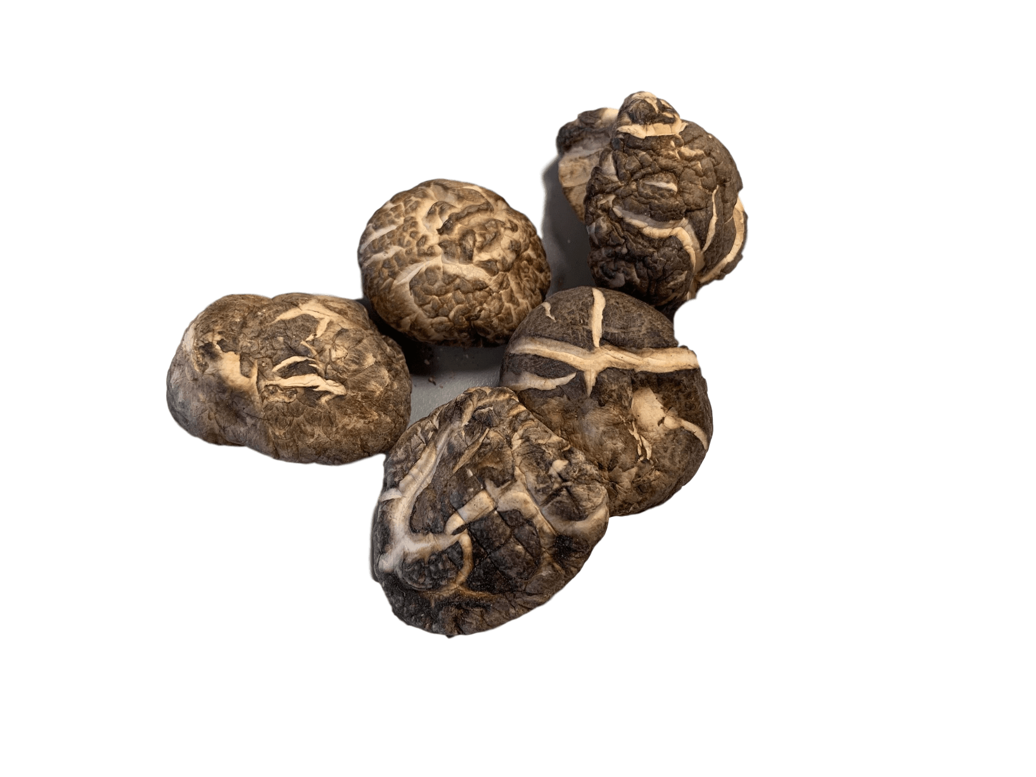 Dried Mushrooms